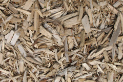 biomass boilers Llangynwyd